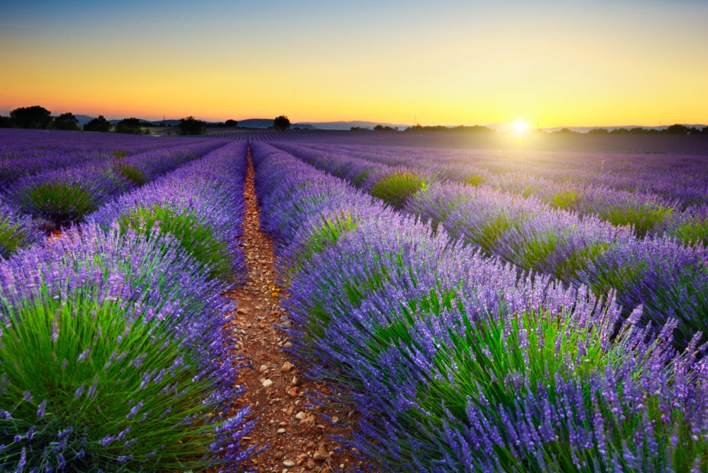 Activités nature et détente